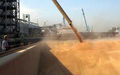 Сирия закупила 200 тыс. тонн пшеницы