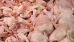МХП увеличил производство курятины на 16%